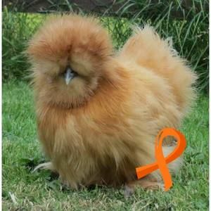 Meet your Posher, Joan